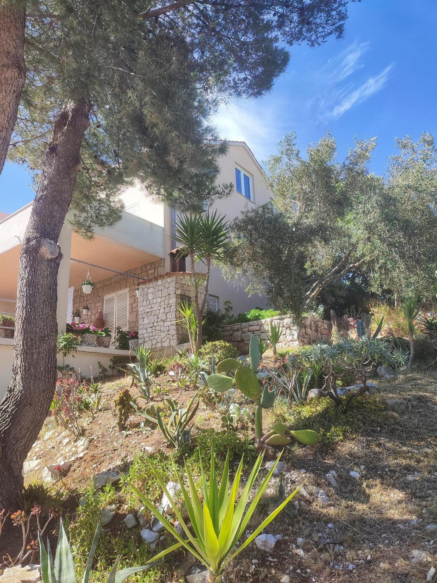 Apartments Vesna Λάστοβο Εξωτερικό φωτογραφία